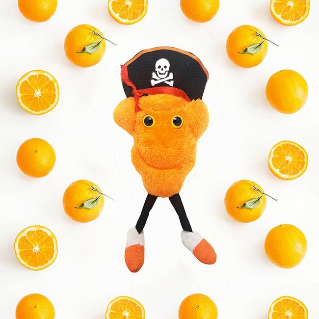 Vitamin C oranges