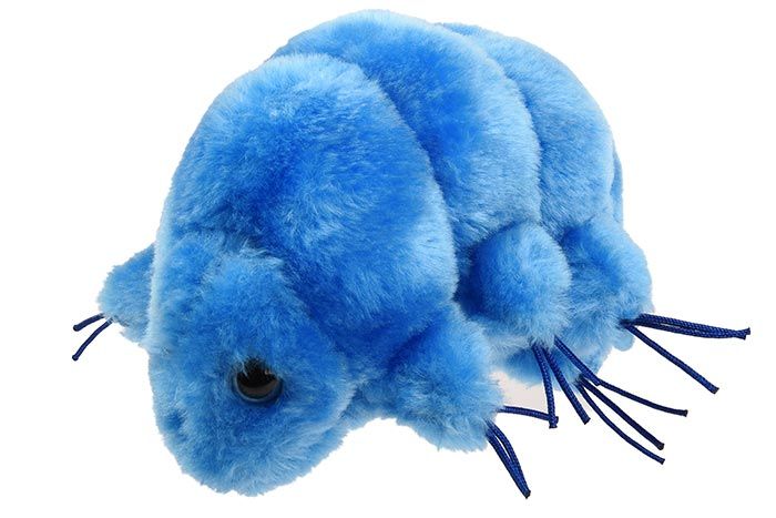 Waterbear plush doll angle