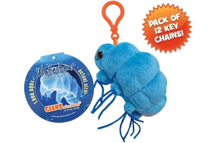 Waterbear key chain 12