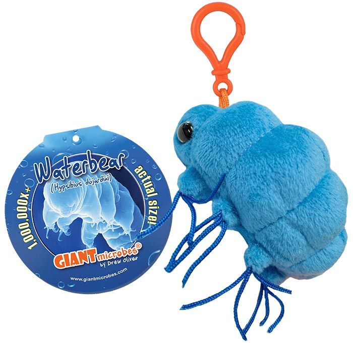 Waterbear key chain tag