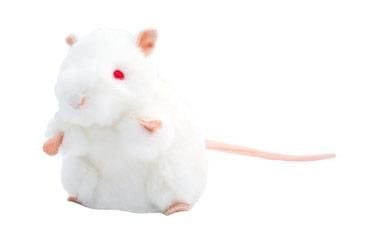 White Lab Mouse doll