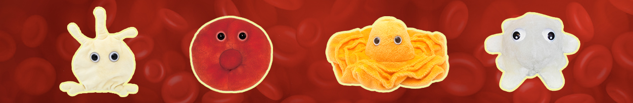 Blood Cells Blood Cells