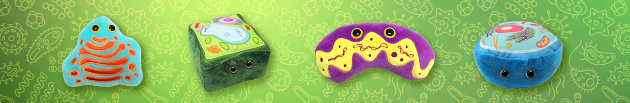 Cell Biology Cell Biology