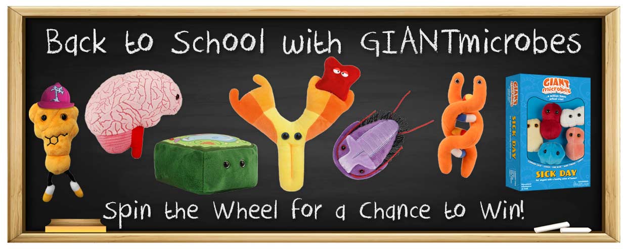 Spin the Back to School Wheel for a chance to Win!