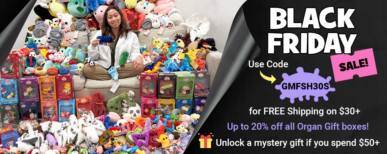 Black Friday Sale! Free Shipping Over $30 with GMFSH30S