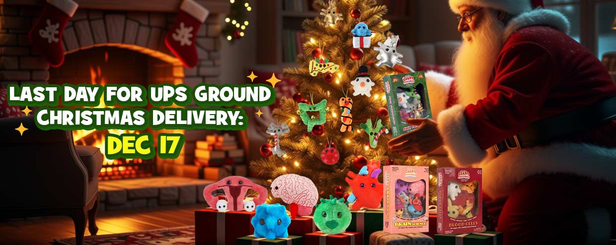 Last day for UPS Ground for Xmas: Dec 17