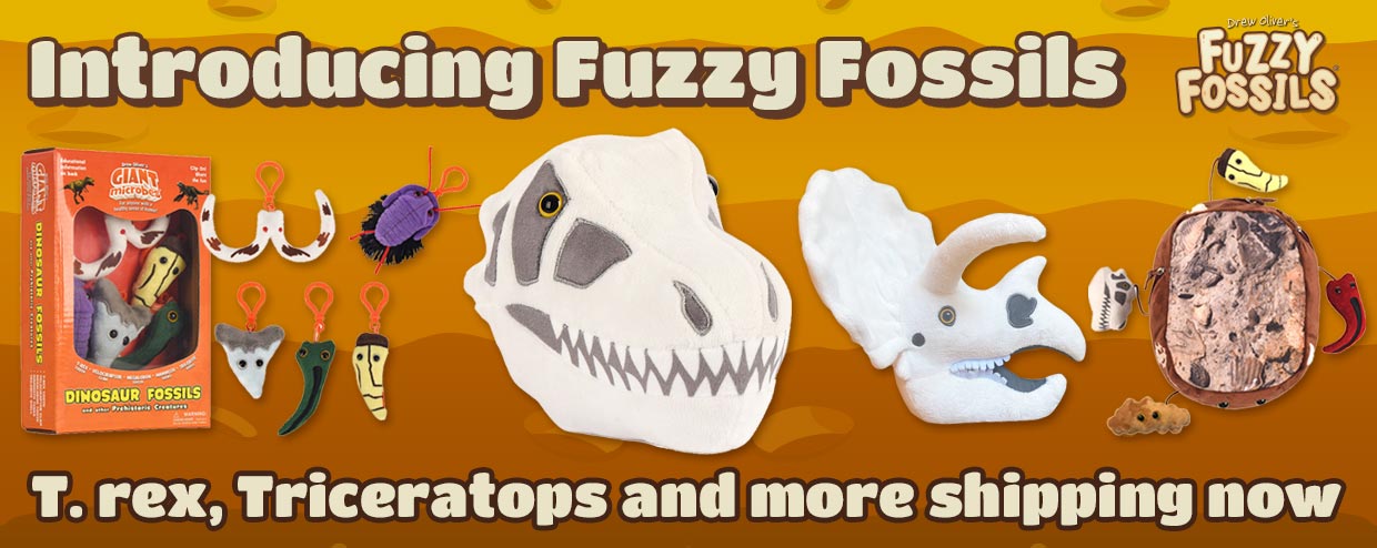 Introducing Fuzzy Fossils