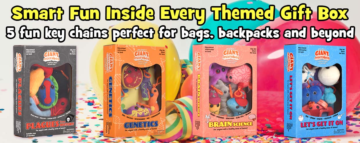 Smart Fun Inside Every Themed Gift Box