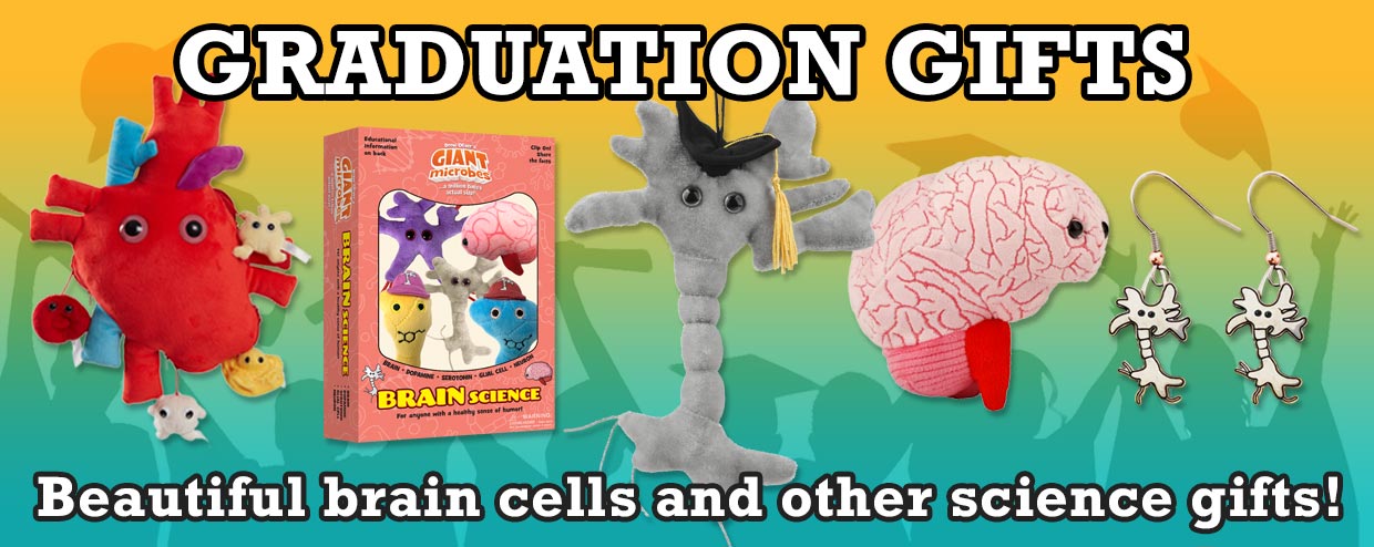 Beautiful brain cells and other science gifts