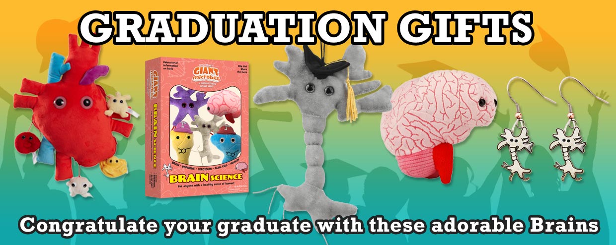 Beautiful brain cells and other science gifts