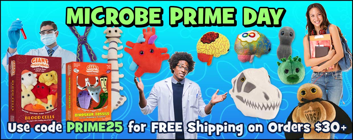 Use code PRIME25 for FREE Shipping on Orders $30+