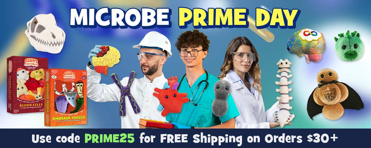 Use code PRIME25 for FREE Shipping on Orders $30+