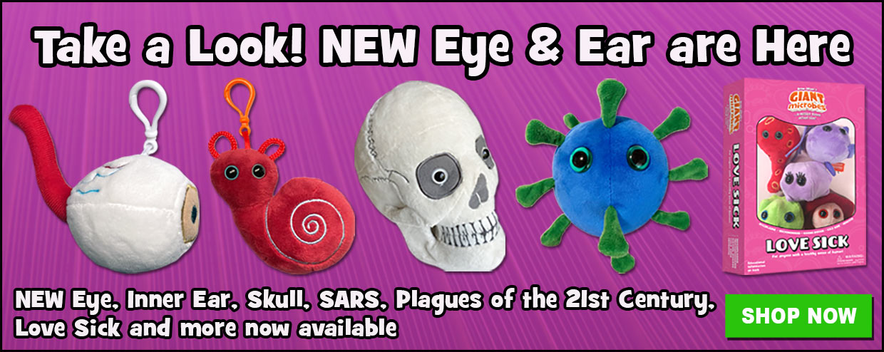 New Products Eye, Ear, Skull, Plagues