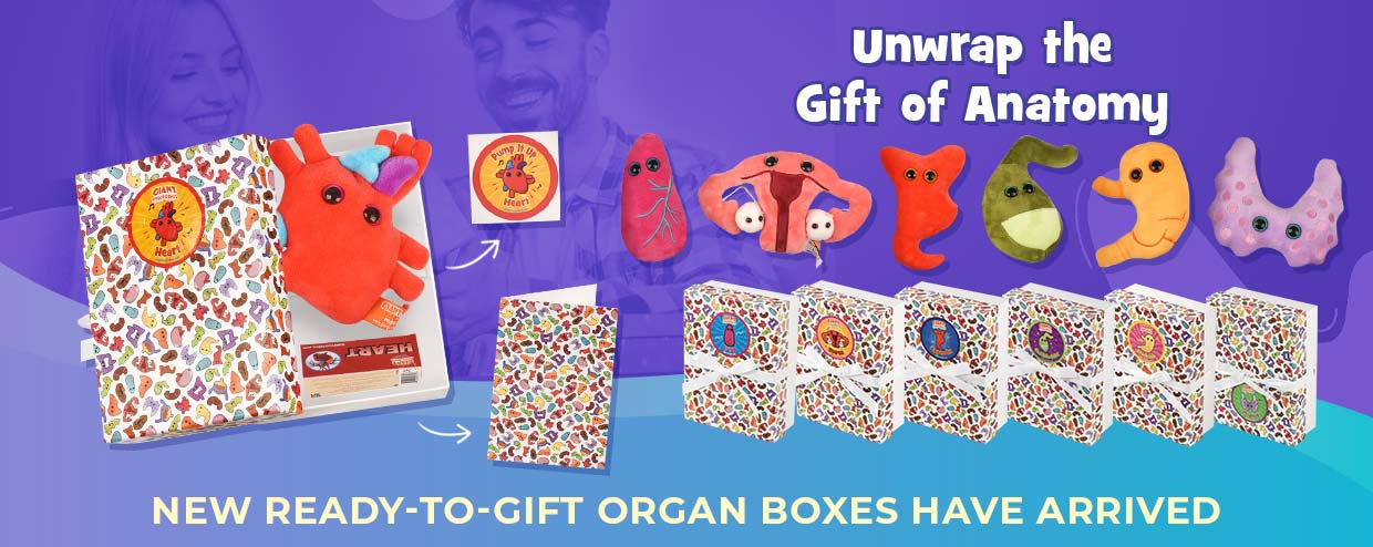 NEW Ready-to-Gift Organ Boxes Have Arrived
