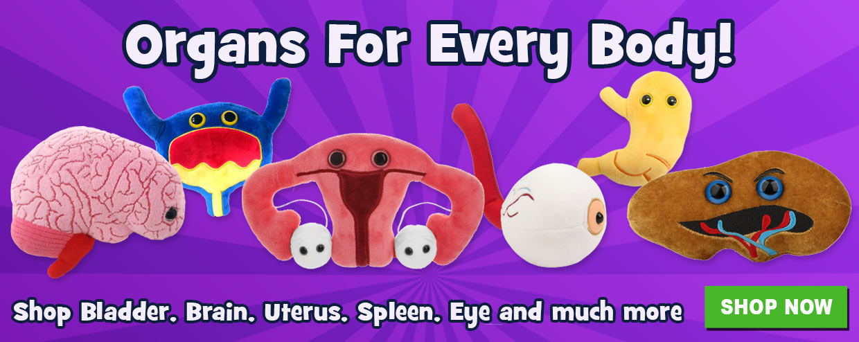GIANTmicrobes Organs for Every Body