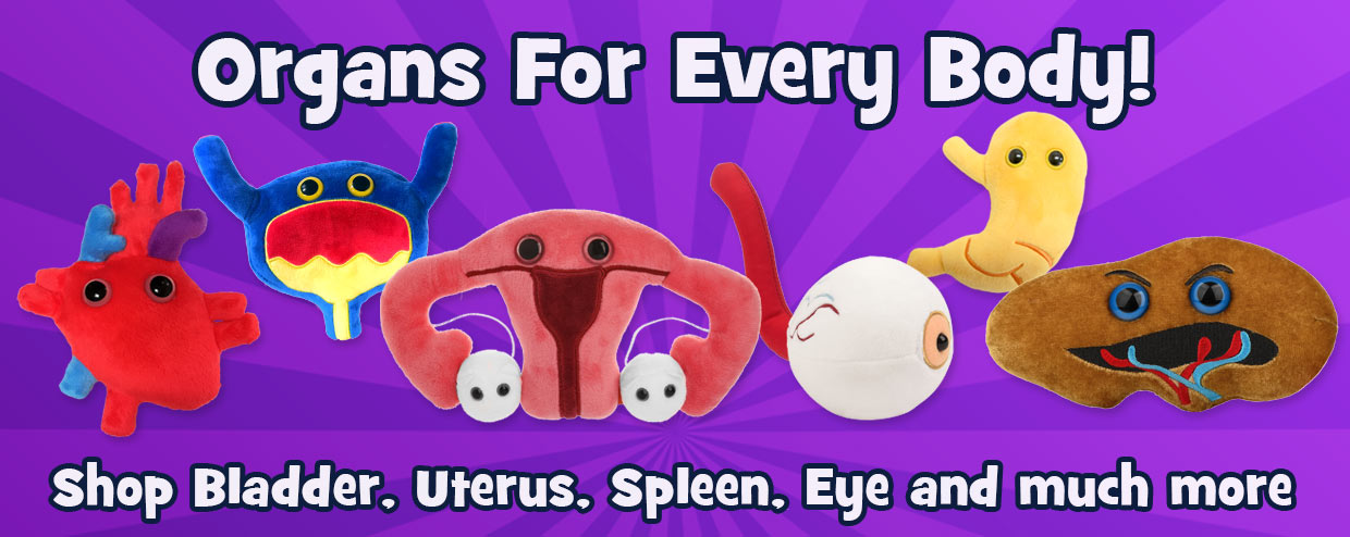 GIANTmicrobes Organs for Every Body