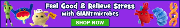 giantmicrobes feel good pandemic stress gifts